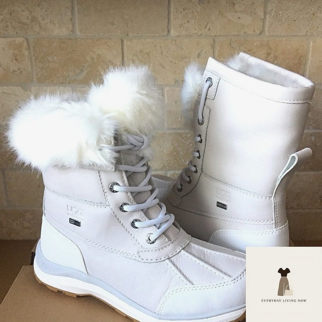featured 2182