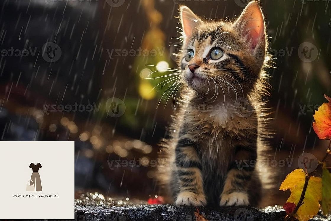 29 Rainy Day Outfit That Are Breathtakingly Beautiful 19 Animal Print Coat For Rainy Glam